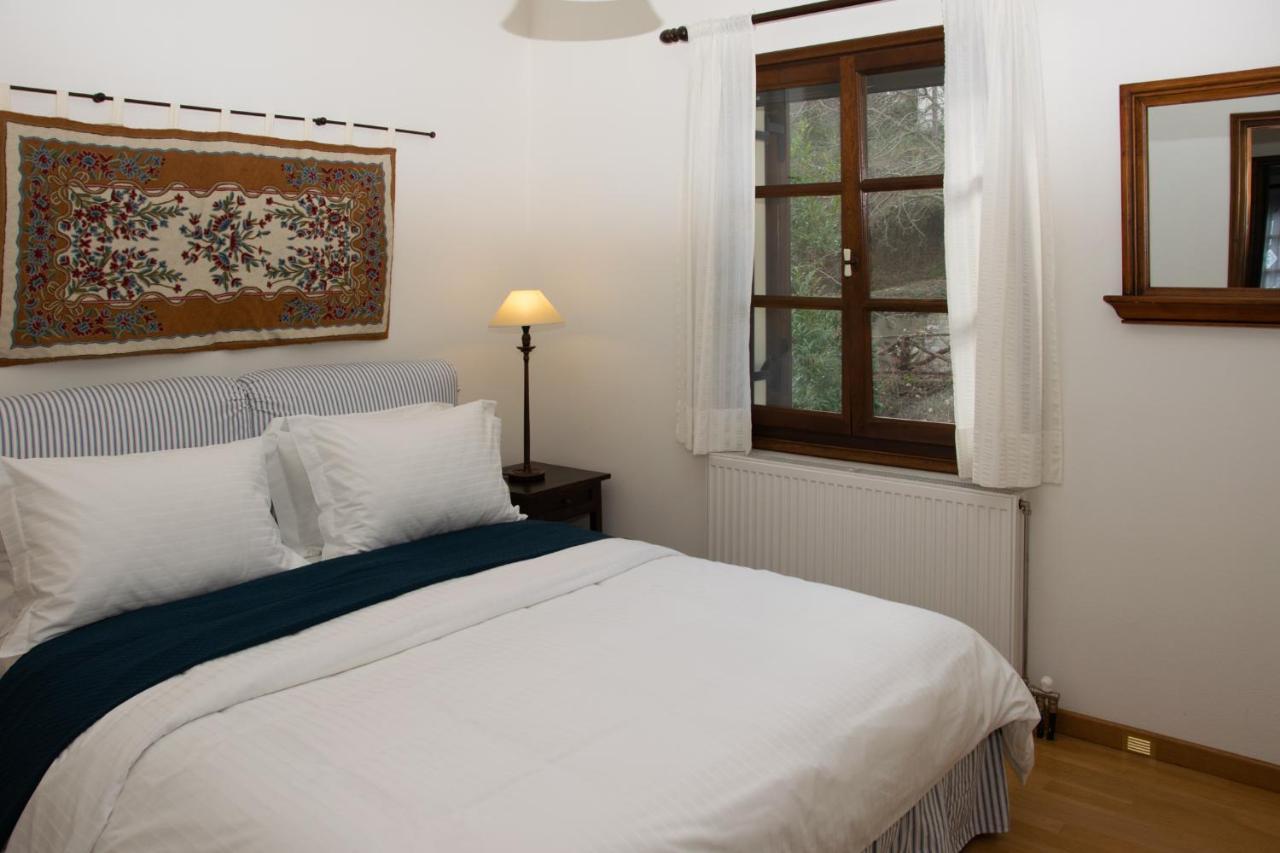 Θαλλώ Luxurious Villa Tsagarada Bagian luar foto