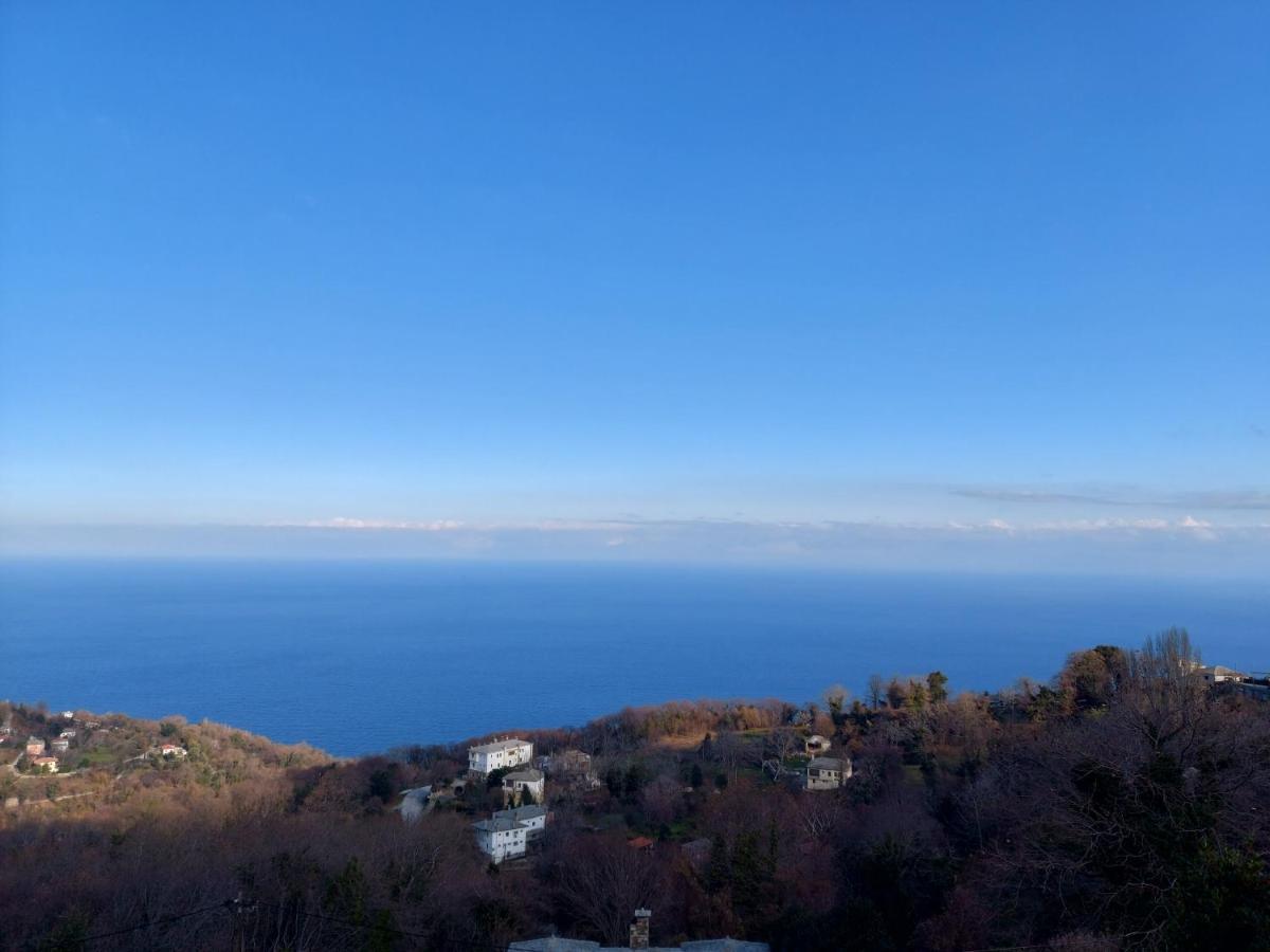 Θαλλώ Luxurious Villa Tsagarada Bagian luar foto