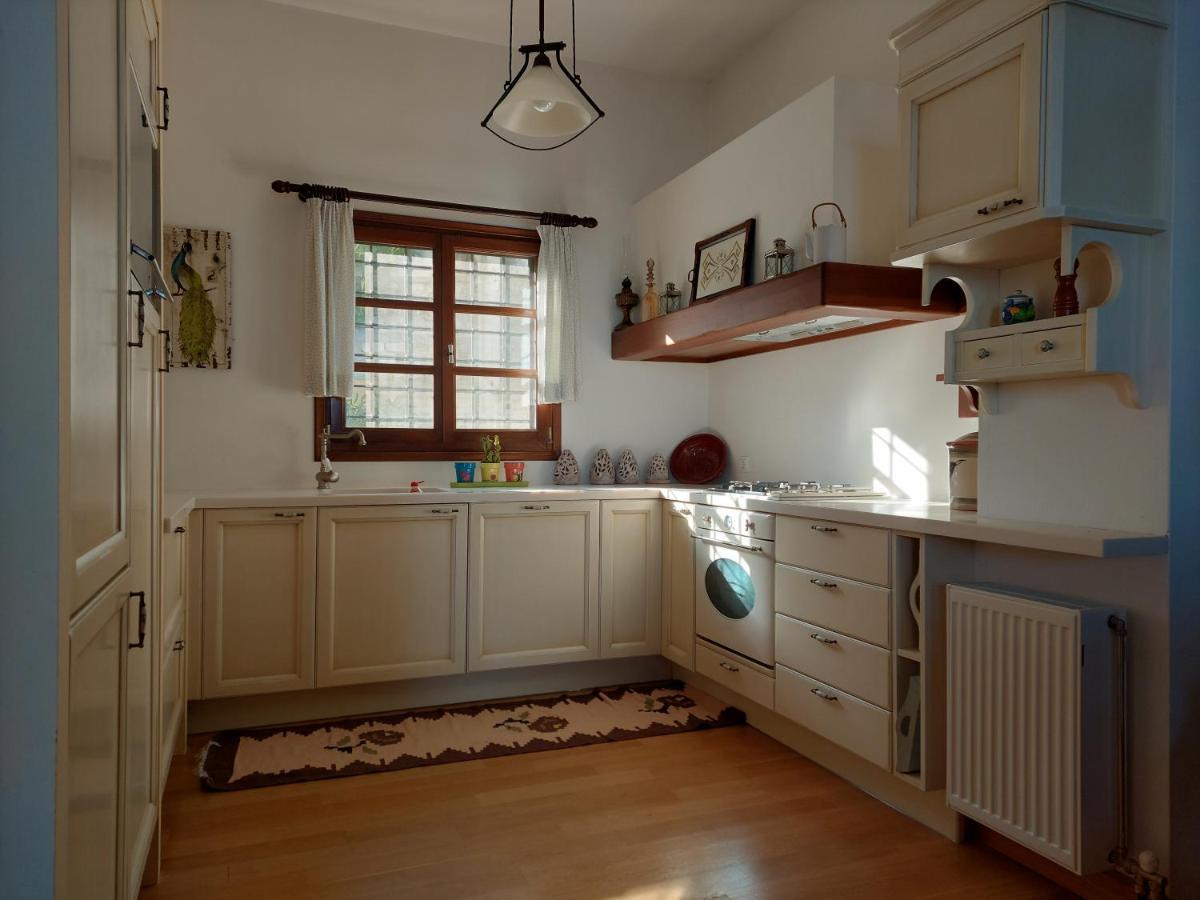 Θαλλώ Luxurious Villa Tsagarada Bagian luar foto