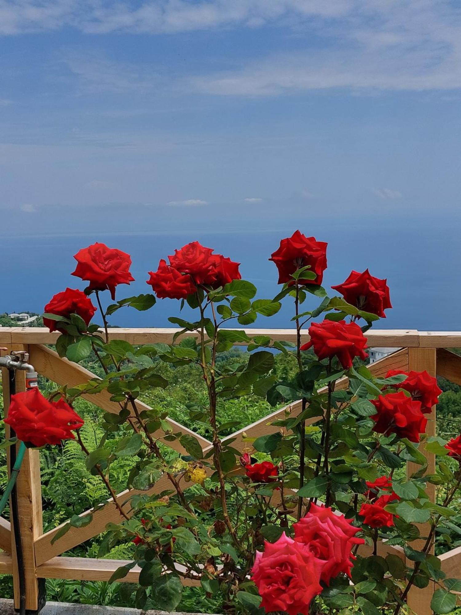Θαλλώ Luxurious Villa Tsagarada Bagian luar foto