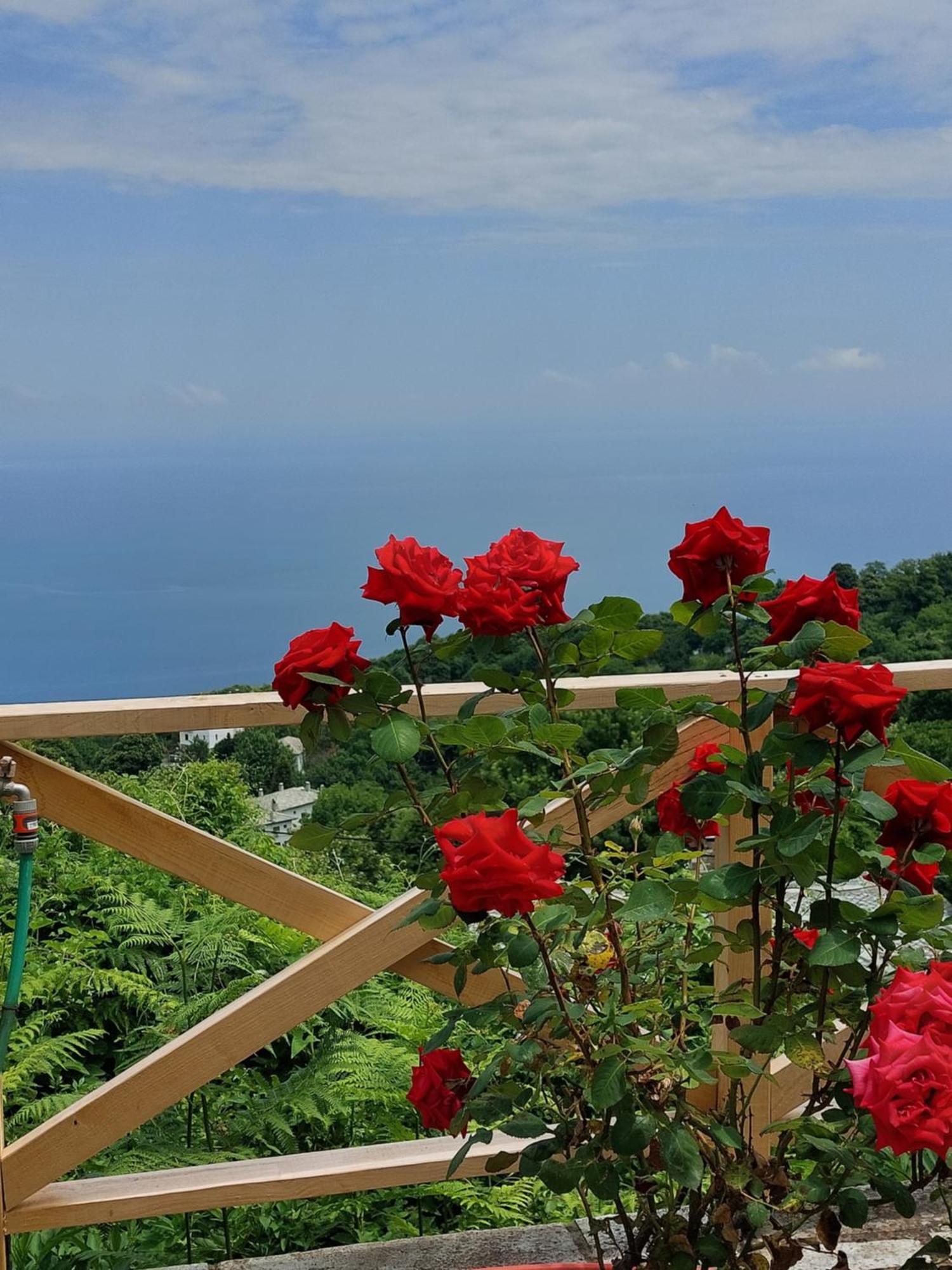 Θαλλώ Luxurious Villa Tsagarada Ruang foto