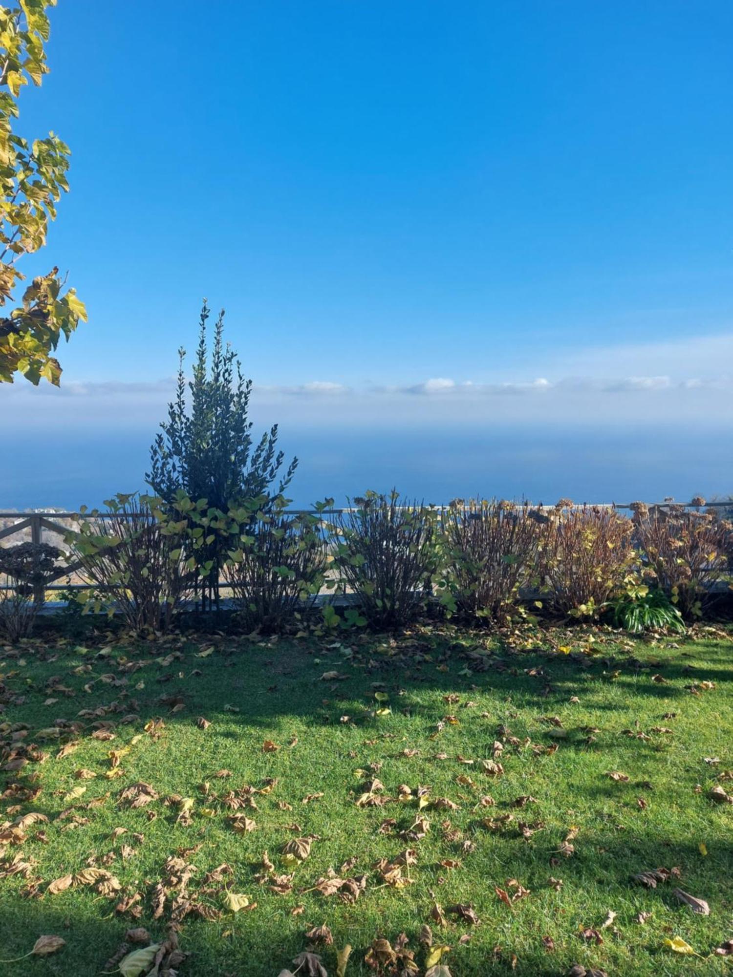 Θαλλώ Luxurious Villa Tsagarada Ruang foto