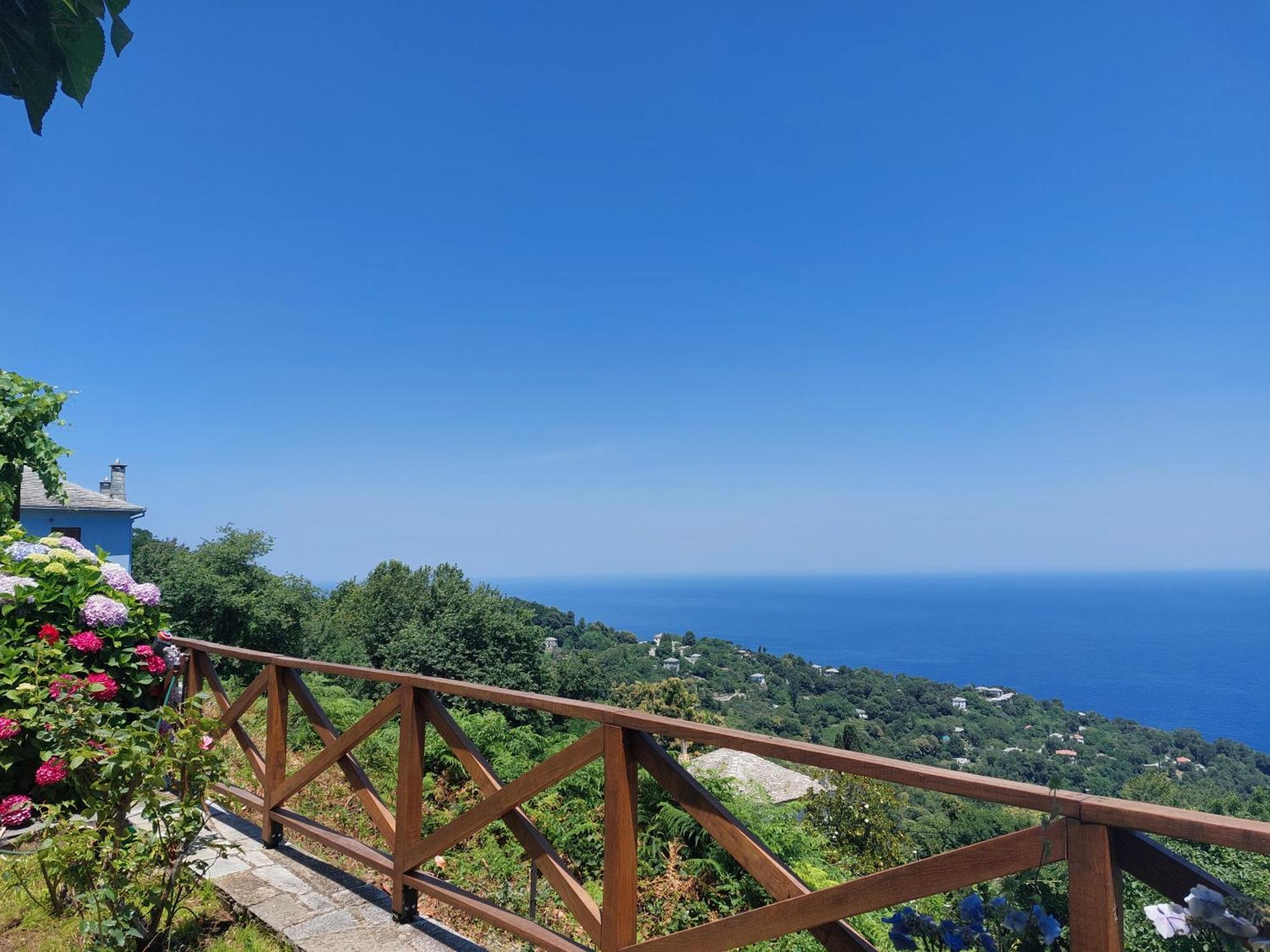 Θαλλώ Luxurious Villa Tsagarada Ruang foto